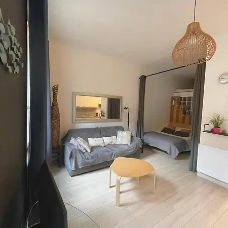 Apartment Agreable T2 Avec Baignoire