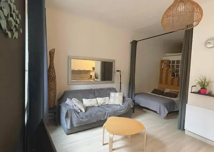 Apartment Agreable T2 Avec Baignoire